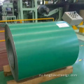 Горячая продажа SGCC Green Prepainted Steel Coil
